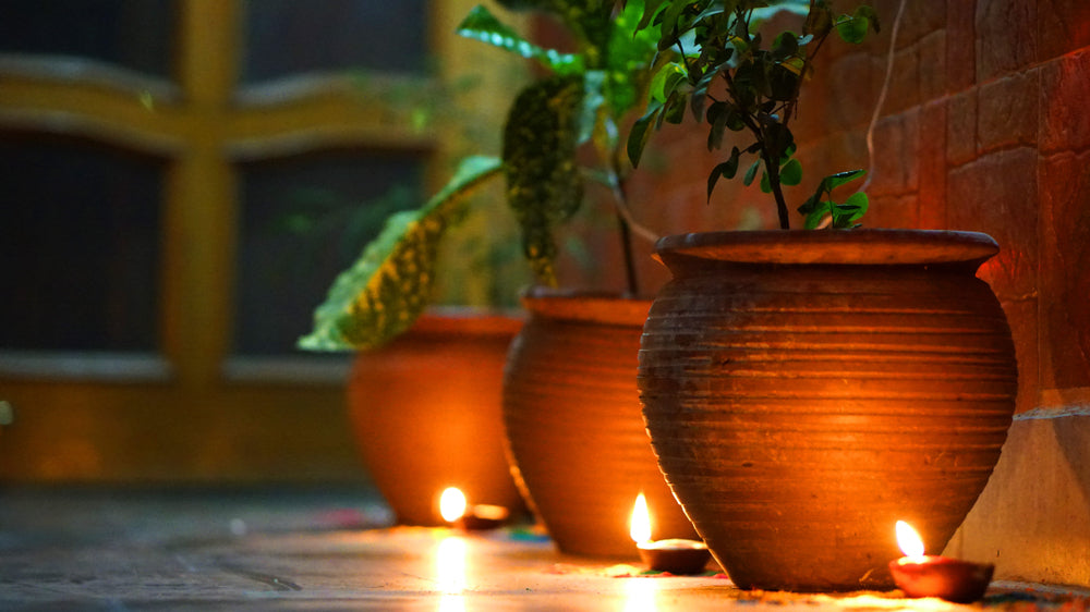 Let your garden be ready for Diwali