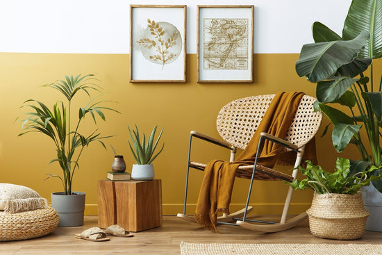8 Science-backed benefits of house plants