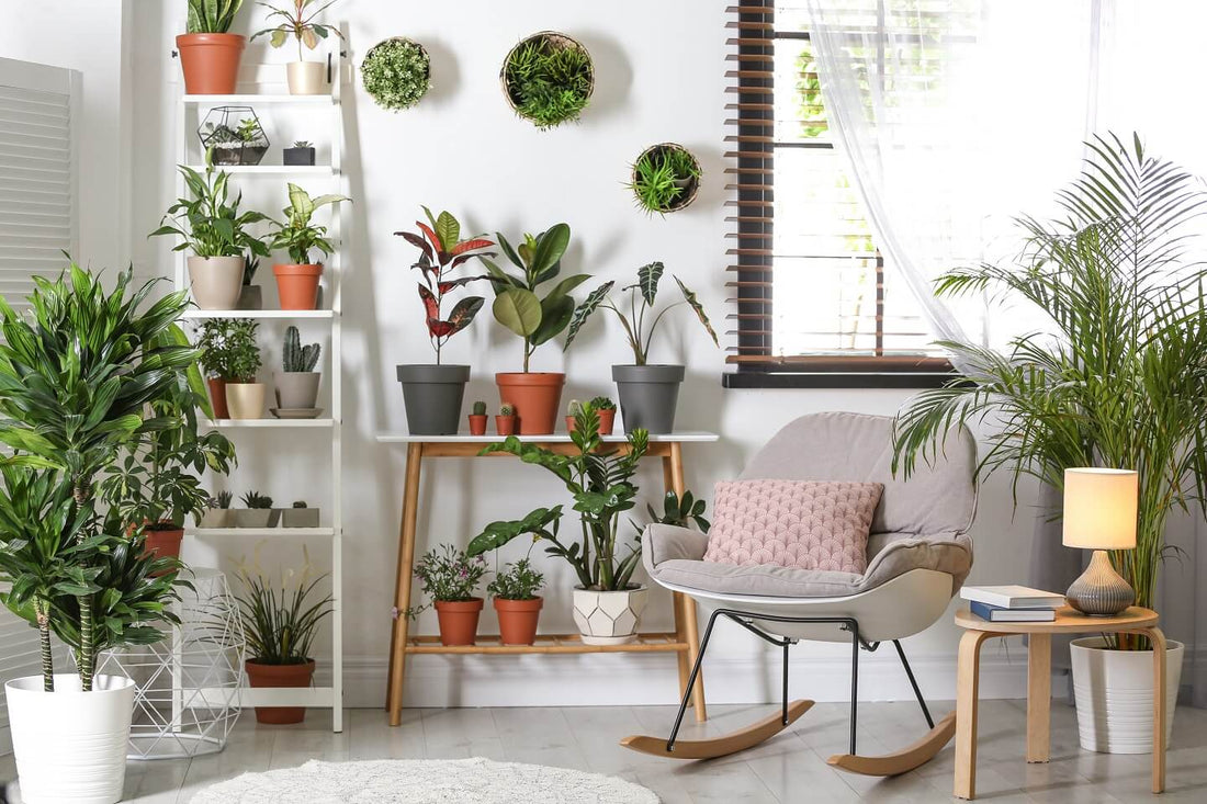 Plant trends for 2021