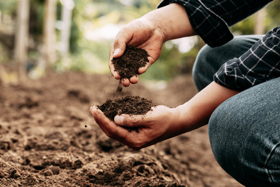 A Gardener's Guide: Choosing the Right Soil for Your Garden