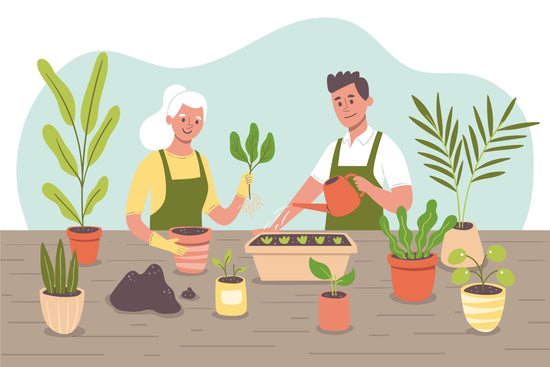 Gardening: A Good Therapy For Your Mental Health