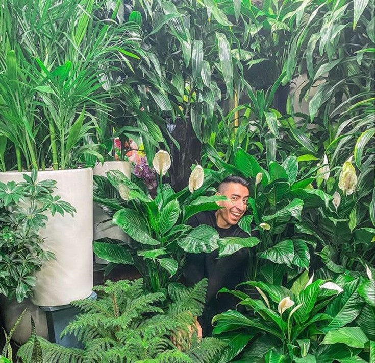 What Kind of Plant Parent Are You? Let's Find Out!