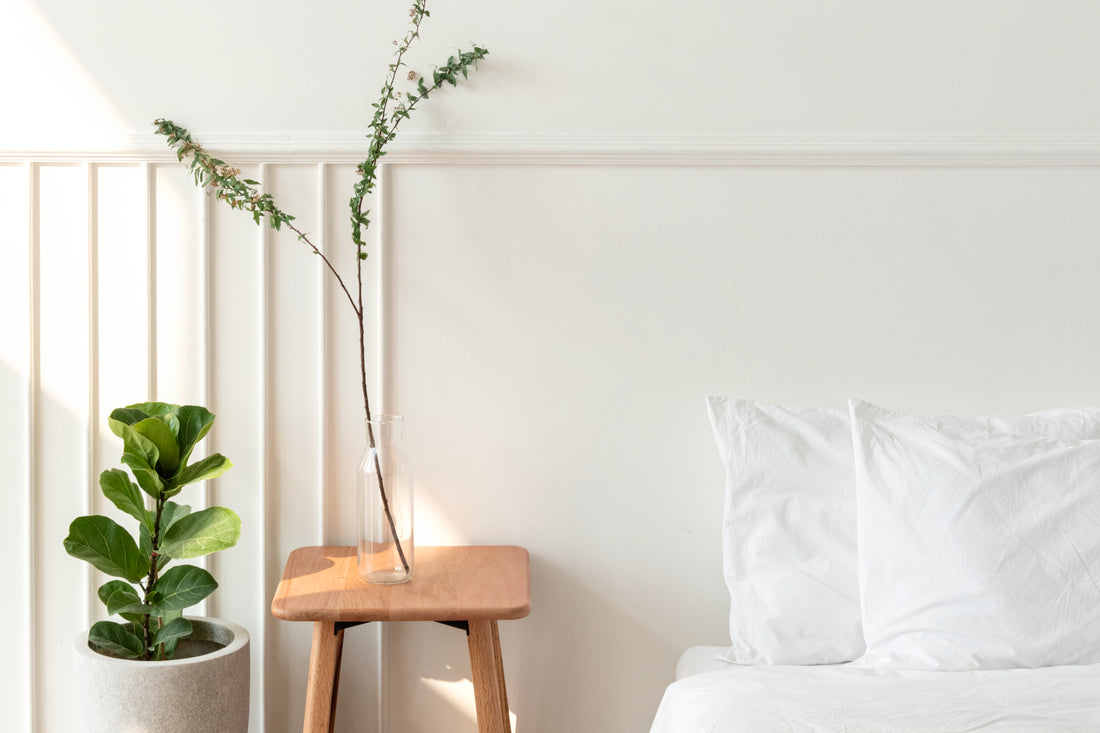 Top 10 Indoor plants for bedroom