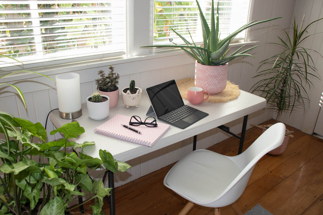 Office Plants and the Science Behind It