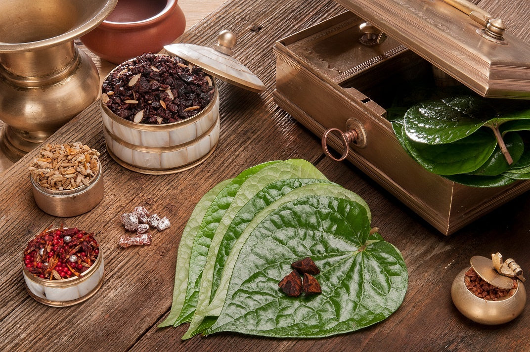 Betel Leaf Plant: Care, Benefits, and Propagation – Ugaoo