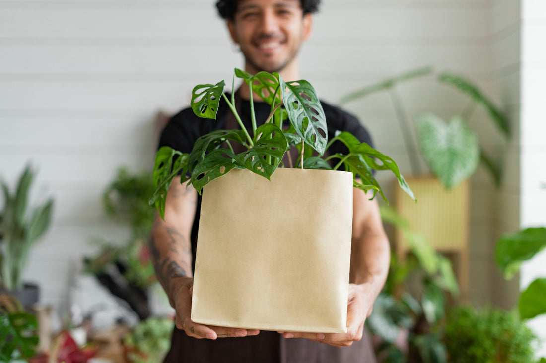 Best Options for Corporate Gifting- Plants