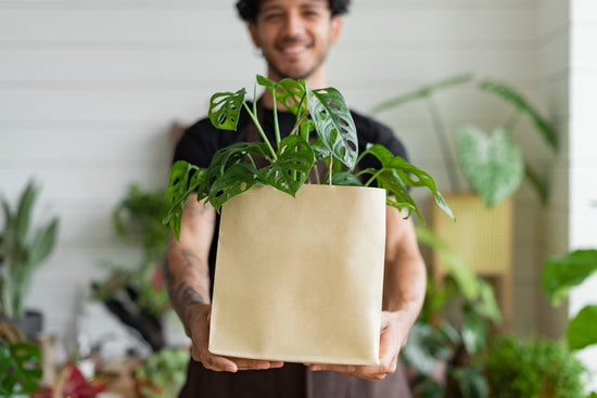 Best Options for Corporate Gifting- Plants