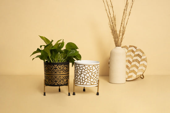 How to Maintain and Care for Your Metal Planters