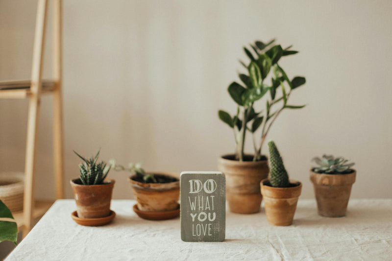 Treating Yourself This Valentine's Day With A Self-Love Garden