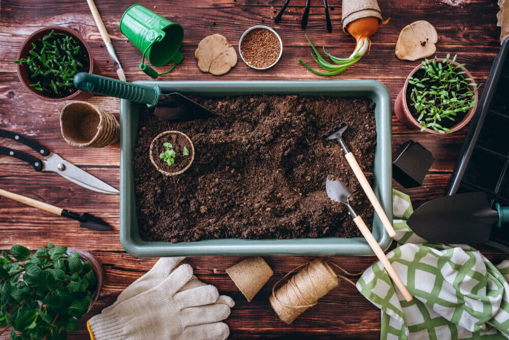 8 Reasons Why You Must Start Composting at Home Immediately