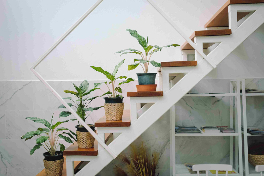 Ideas of Keeping Indoor plants on stairs