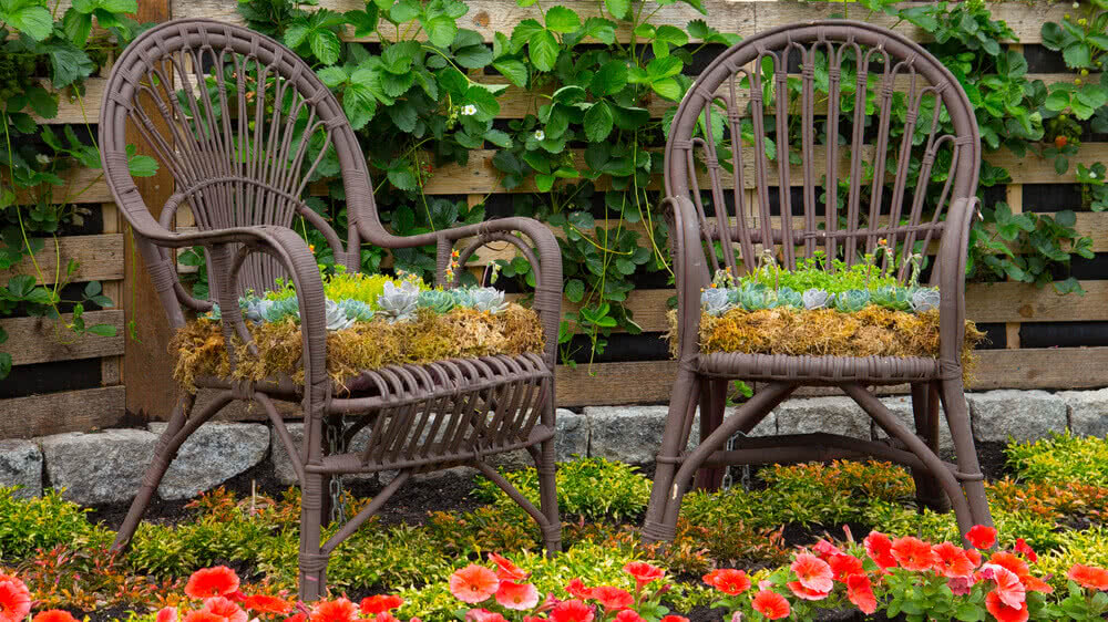 10 Ways to Make the Best Out of Waste for Your Garden