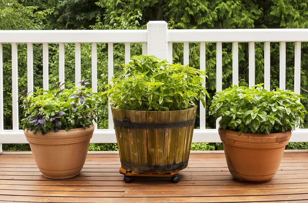 Deck Pots for Kitchen Herb Garden