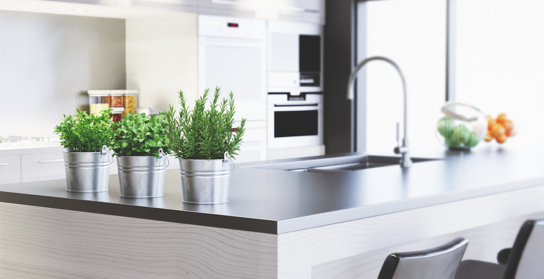 Keep These 10 Plants in Your Kitchen for a Fresh and Healthy Space