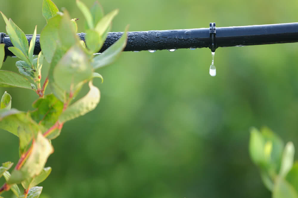 Drip Irrigation for vegetable gardens