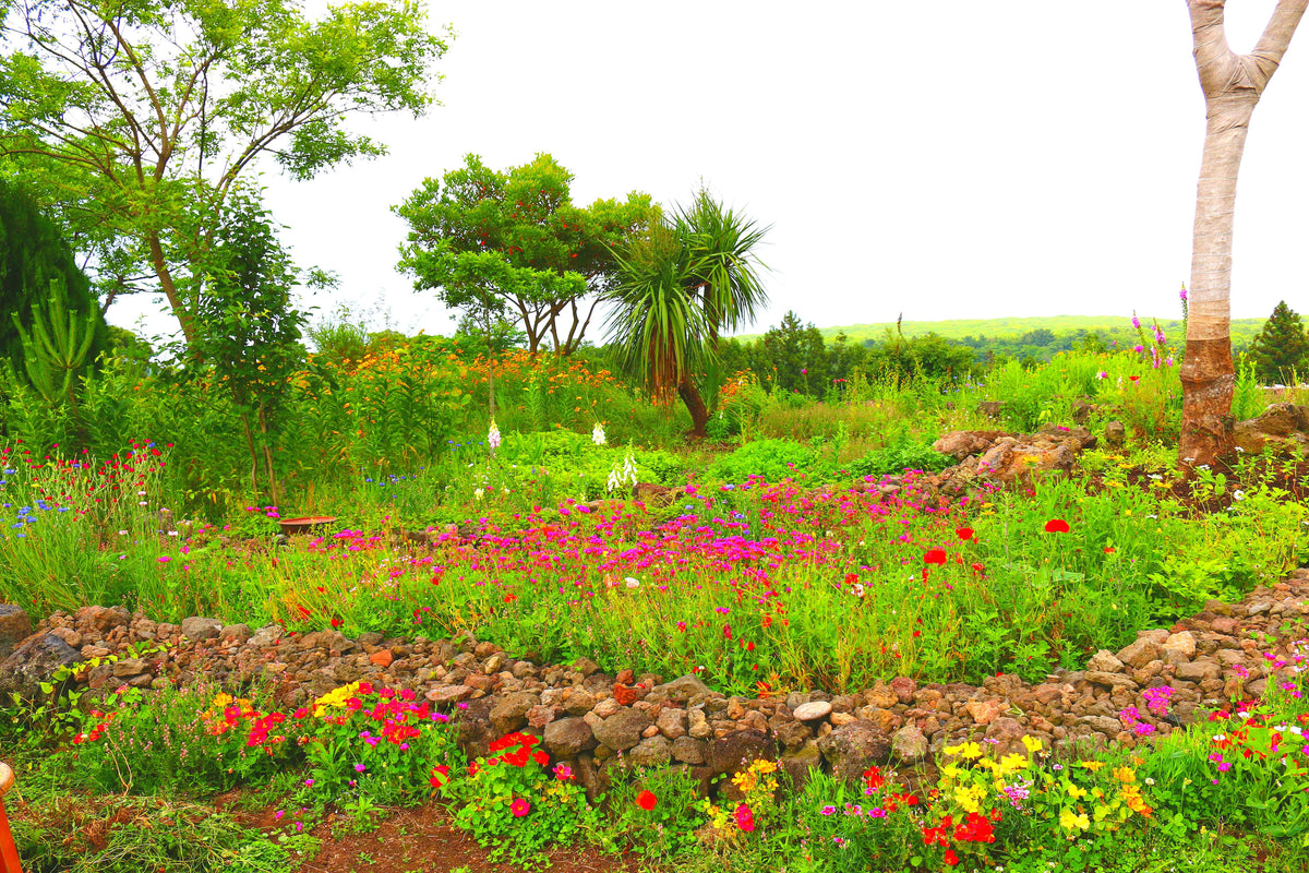 Enhancing Rain Gardens: Trees and Rain Plants for a Serene Oasis – Ugaoo