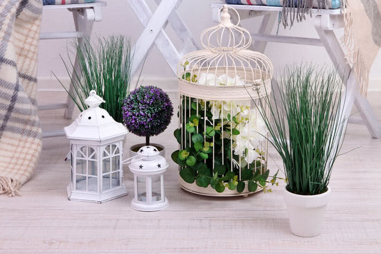 Decorative ideas for Indoor Gardens!