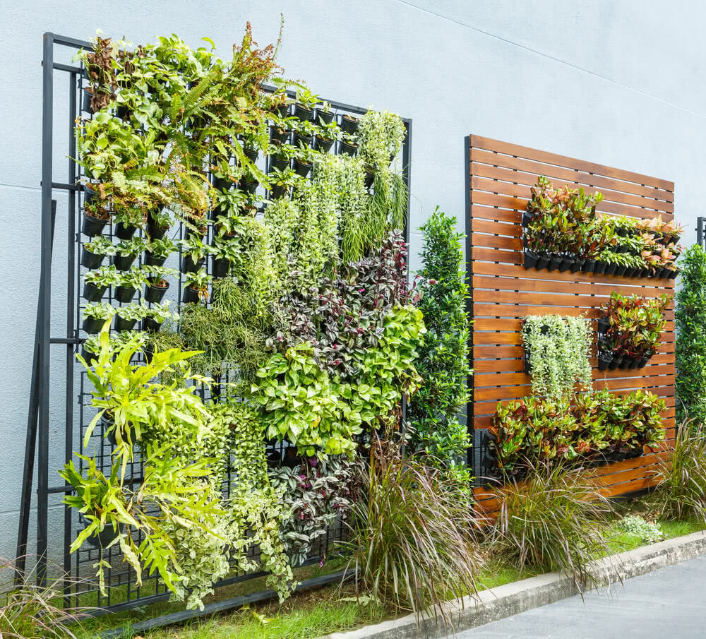 Vertical Gardens: The Living Walls of your Home