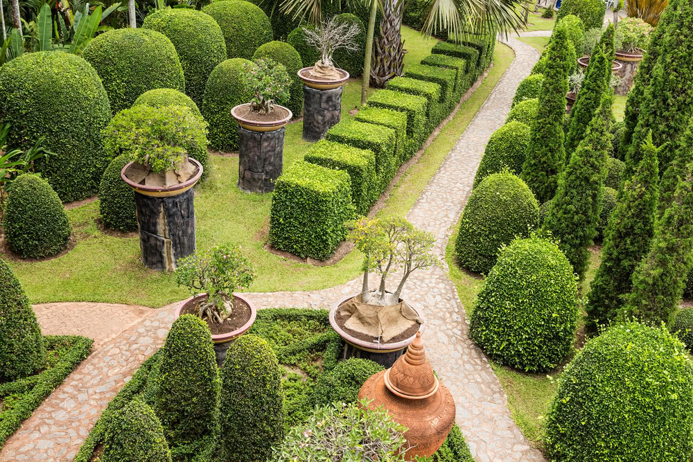 The elements of garden design and basic garden patterns – Ugaoo