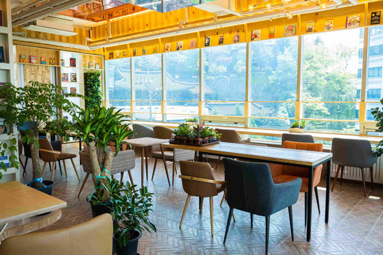 Welcoming Greenery: Plants to Grace Restaurants & Hotels