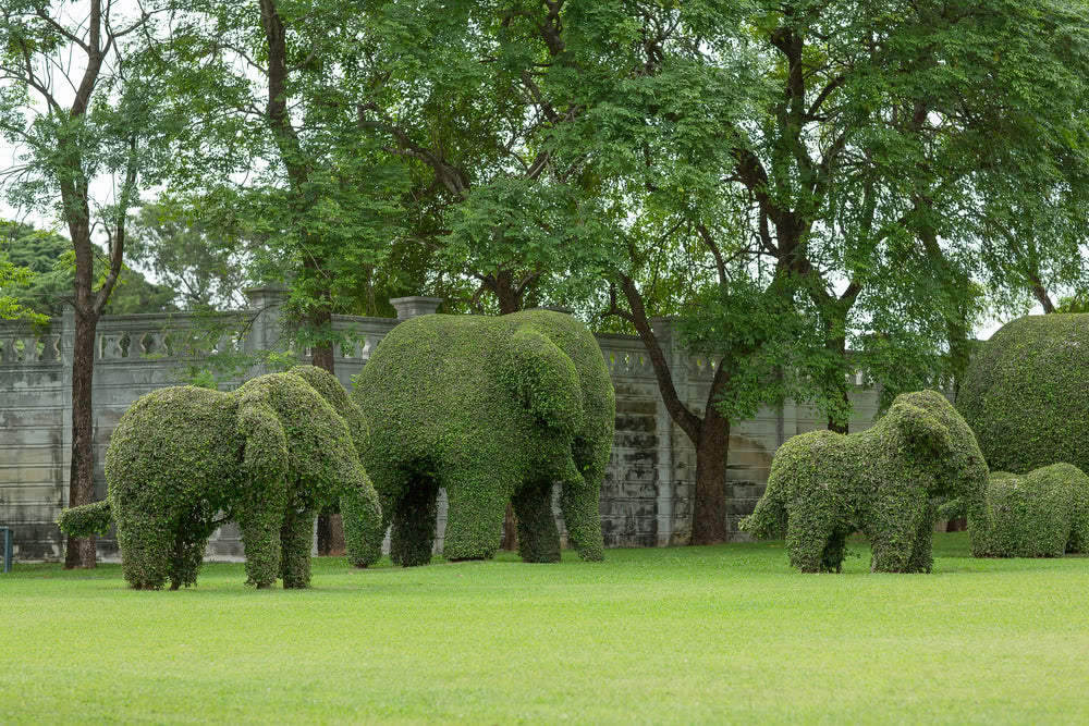 Displaying foliage plants using Topiary Shapes