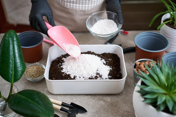 Is Perlite for Plants Really Making a Difference? – Ugaoo