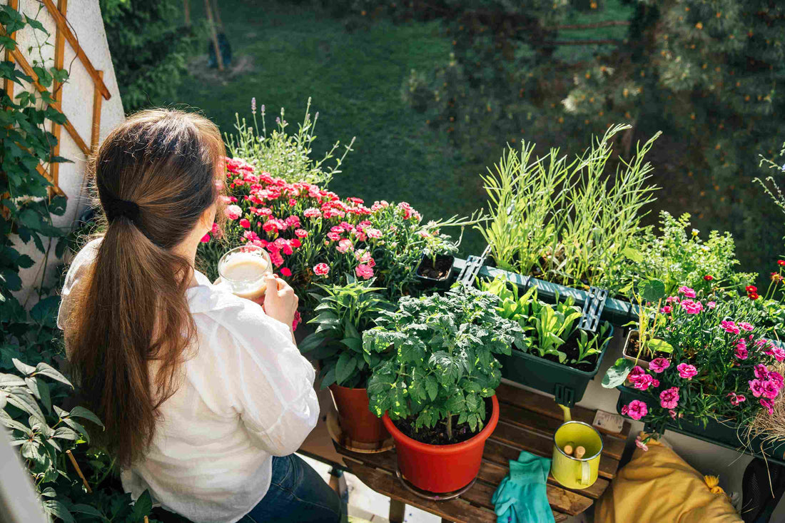 Plants for Mental Health: Cultivating Serenity and Well-Being in Your Home