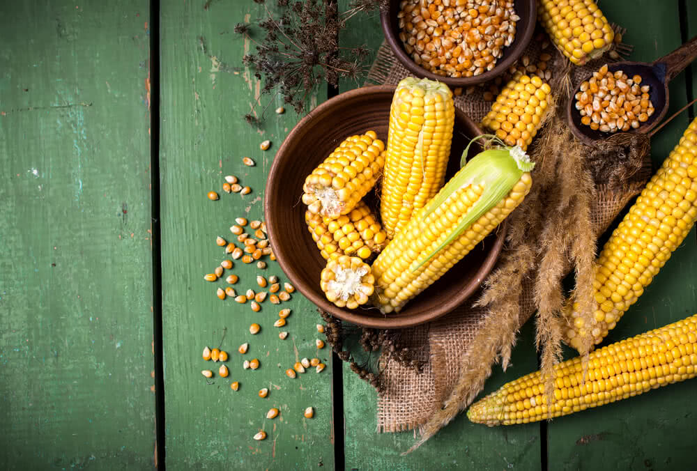 Growing Corn in your garden