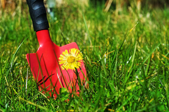 Easy ways to control weeds: Now say goodbye to weeds