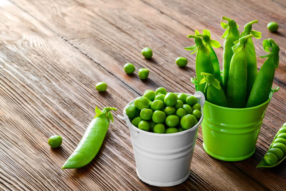 How to Grow Peas in your garden