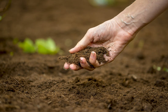 Ways to prepare healthy garden soil