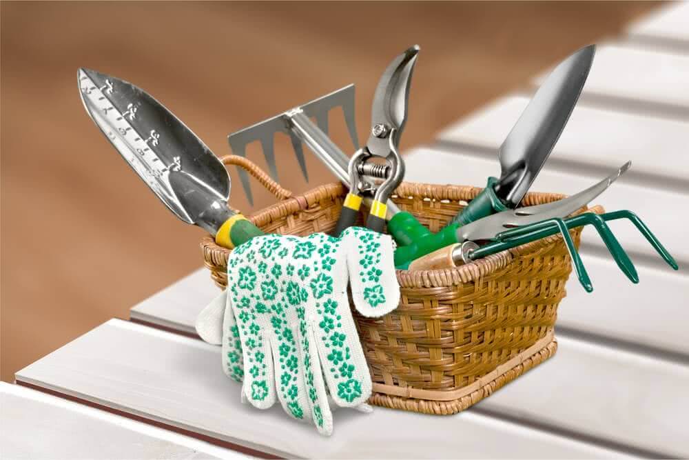 Garden Tools for Raised Beds
