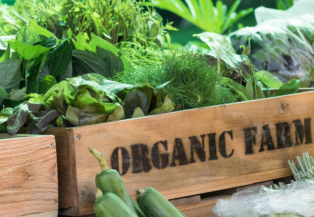 9 Reasons why you must go Organic TODAY! - The Organic Gardener Series Part 2