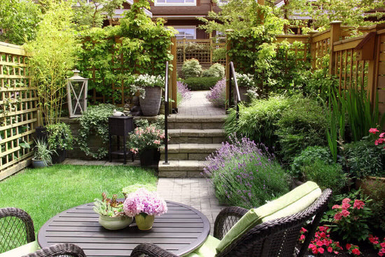 How to Create Stunning Basement Gardens and Backyards?