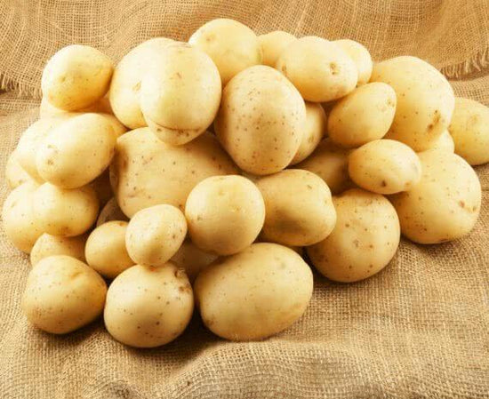 Growing potatoes in pots
