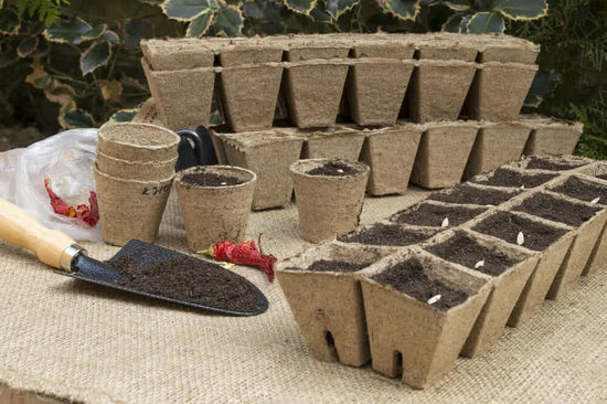 A Complete Guide on Coco-Coir Pots and its Uses