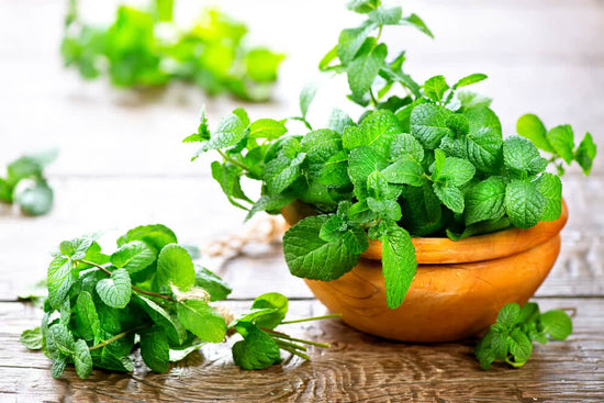 Growing Mint: The Most Aromatic Kitchen Herb
