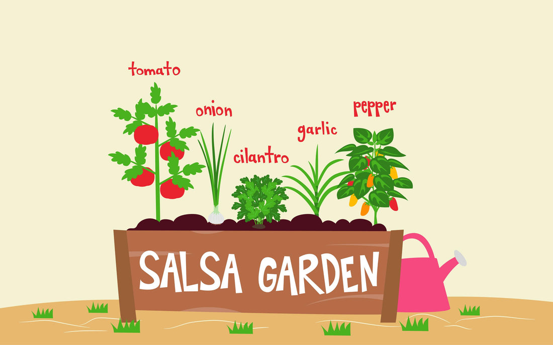 Create a Salsa Theme Garden