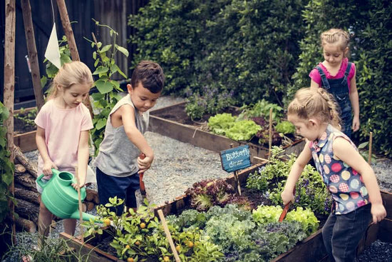 41 Gardening Activities for your Kids This Christmas Vacation