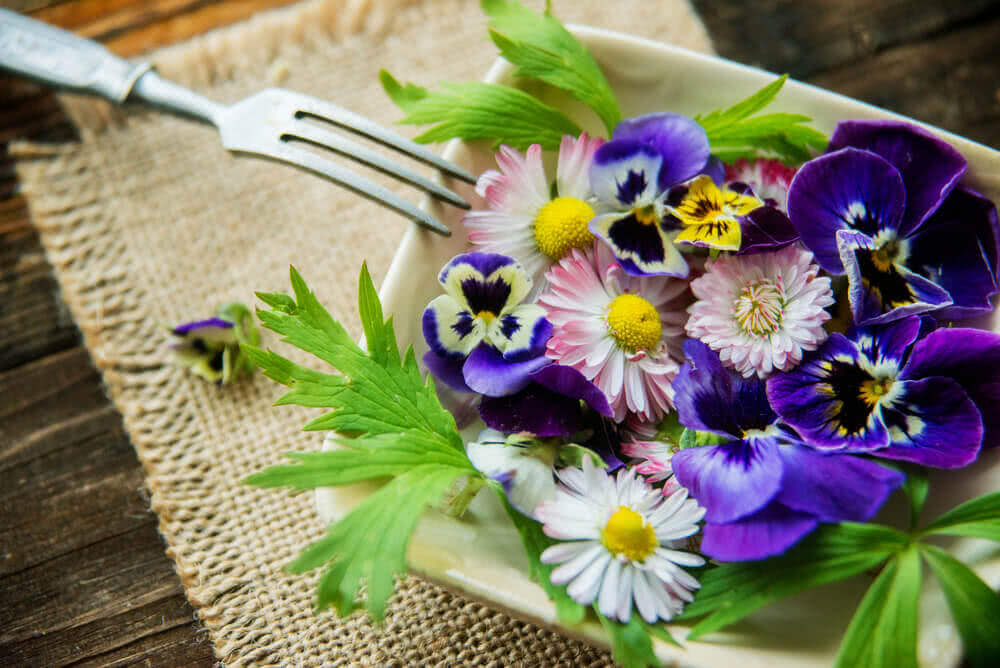 An Introduction to Edible Flowers