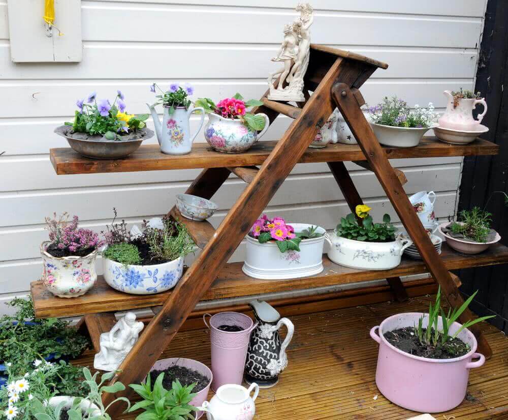 Top 30 Container Gardening Ideas