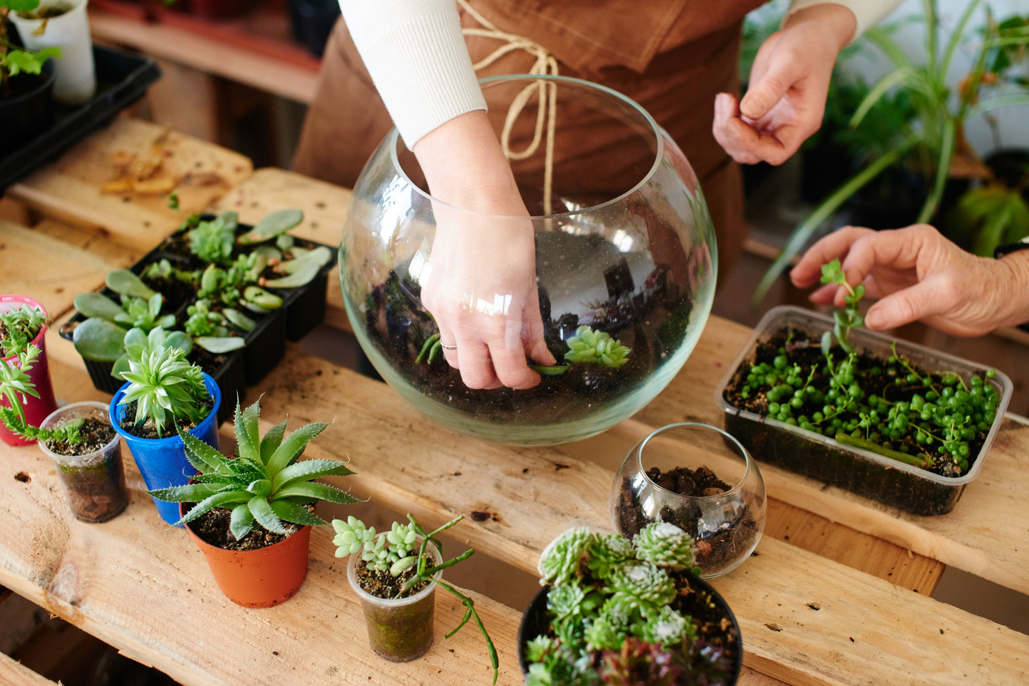 Handmake the Perfect Terrarium for Your Mom This Mother's Day!