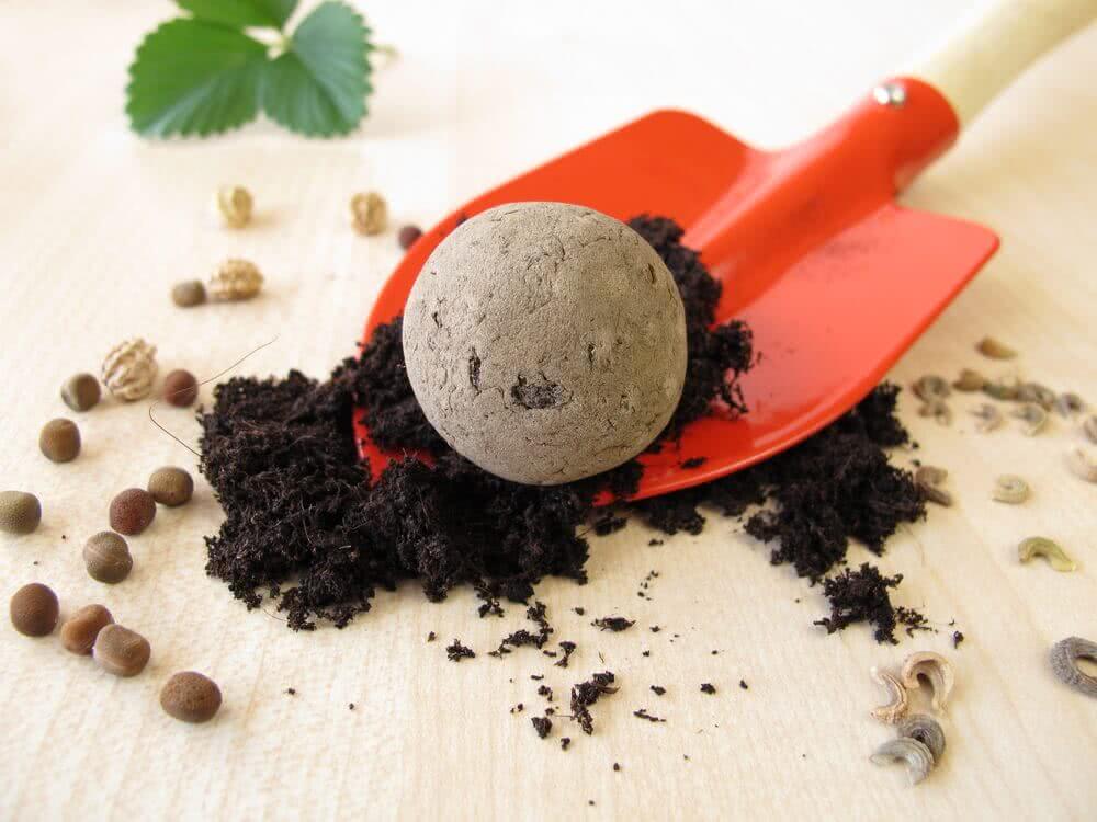 Have you Heard of Seed Bombs?