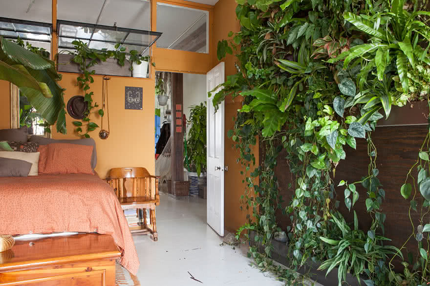 Top 8 Best Indoor Plants for Apartment Living