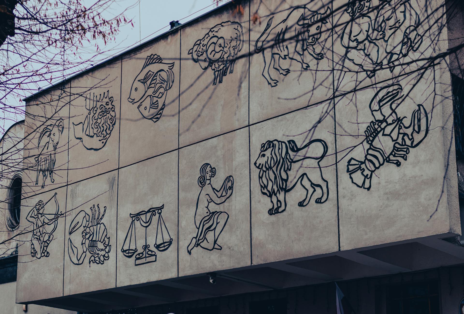 The Perfect Plant Pairing for Every Zodiac Sign