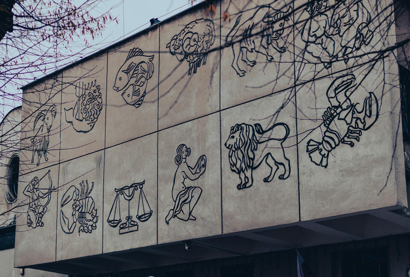 The Perfect Plant Pairing for Every Zodiac Sign