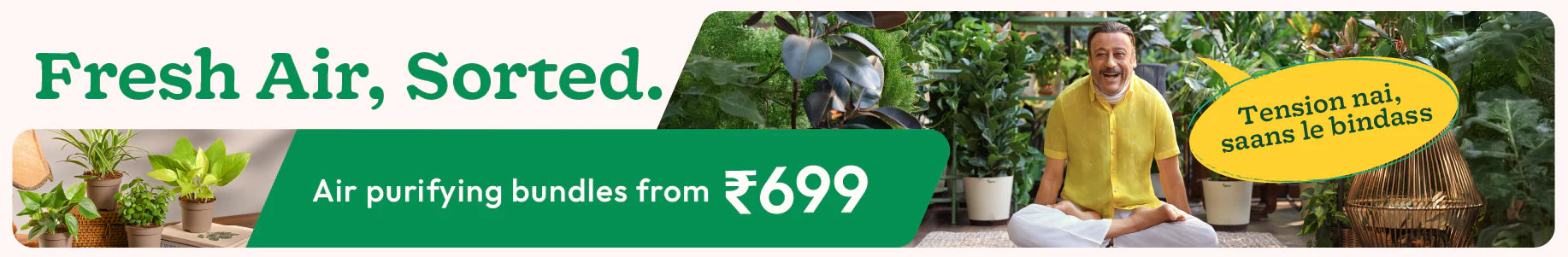Get 4 Plants @ just ₹699!