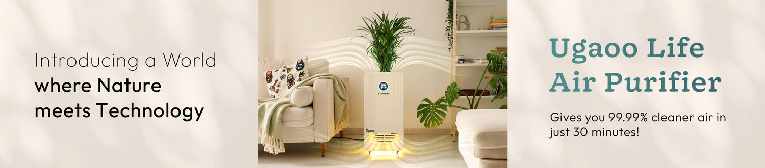Air Purifiers for Home