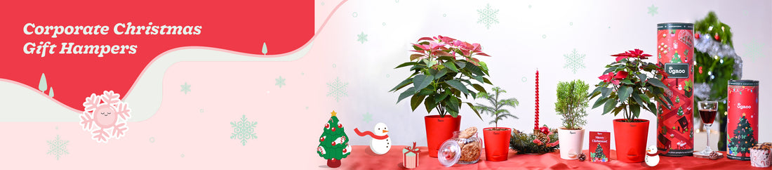 Christmas & New Year Plant Gifting