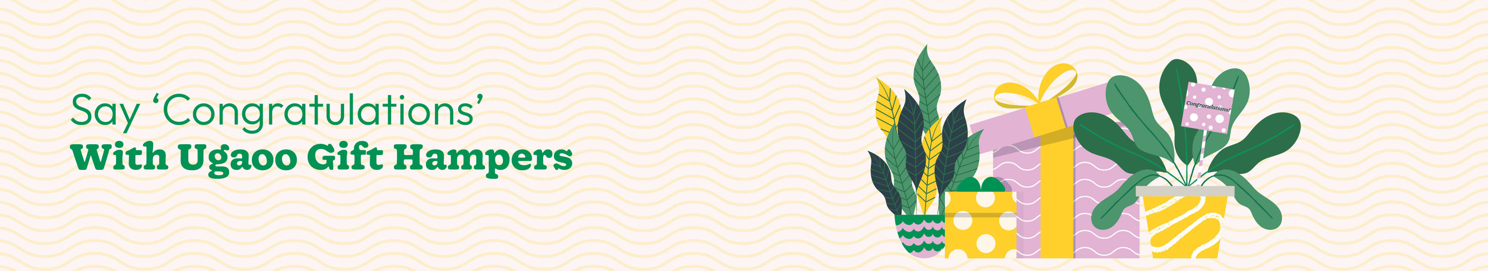 Shop the Best Congratulation Plant Gifts Online Today Ugaoo